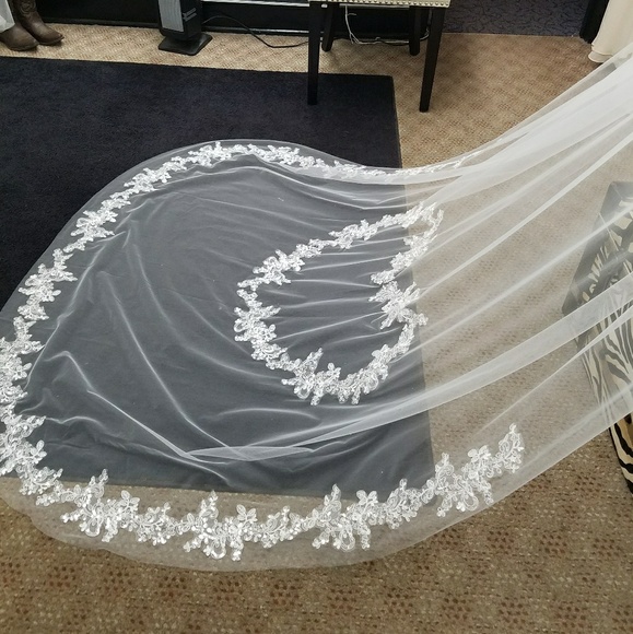 VEIL - Picture 3 of 4
